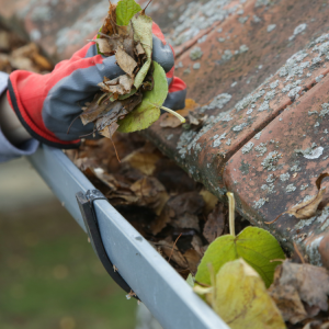 Gutter Cleaning in Tacoma, WA