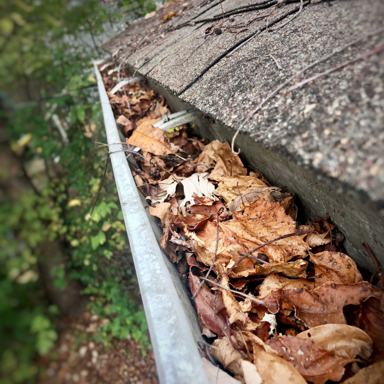 Gutter Cleaning in Tacoma, WA Gutter Cleaning in Tacoma, WA