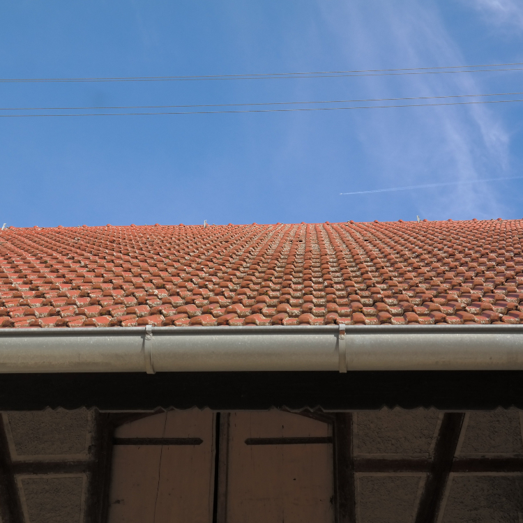 Roof Cleaning in Tacoma, WA Roof Cleaning in Tacoma, WA