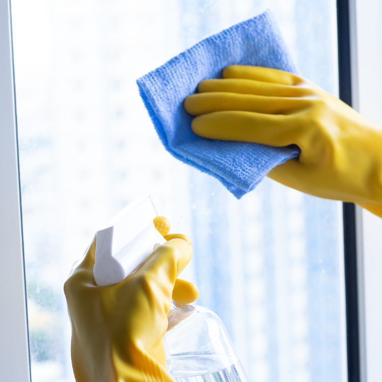 Window Cleaning in Tacoma, WA Window Cleaning in Tacoma, WA